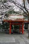 dsc_3964.jpg