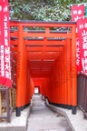 dsc_3972.jpg