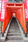 dsc_3973.jpg