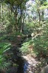 dsc_4060.jpg