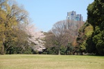 dsc_4098.jpg