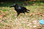dsc_4103.jpg