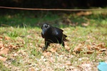 dsc_4104.jpg