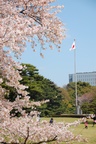 dsc_4110.jpg