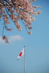 dsc_4114.jpg