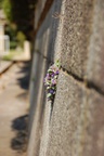 dsc_4119.jpg