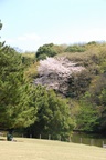 dsc_4122.jpg