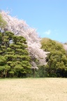 dsc_4123.jpg