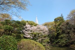 dsc_4125.jpg