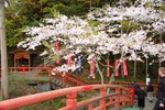 dsc_4197.jpg