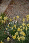 dsc_4209.jpg
