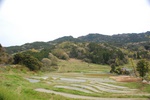 dsc_4217.jpg