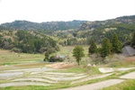 dsc_4220.jpg