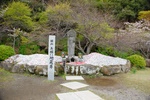 dsc_4255.jpg