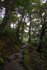 dsc_4282.jpg