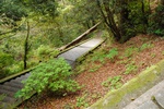 dsc_4284.jpg