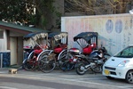 dsc_4341.jpg