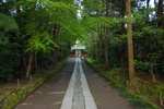 dsc_4350.jpg