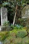 dsc_4376.jpg