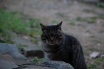 dsc_4391.jpg