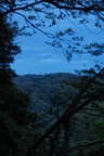 dsc_4398.jpg