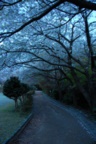 dsc_4399.jpg