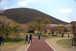 dsc_4405.jpg