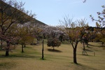 dsc_4407.jpg