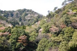 dsc_4418.jpg