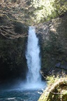 dsc_4423.jpg