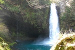 dsc_4425.jpg
