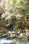 dsc_4435.jpg