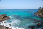 dsc_4437.jpg