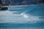 dsc_4450.jpg