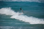 dsc_4453.jpg
