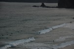 dsc_4480.jpg