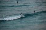 dsc_4485.jpg