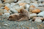 dsc_4535.jpg