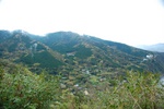 dsc_4544.jpg