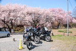 dsc_4763.jpg