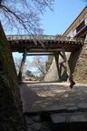 dsc_5321.jpg