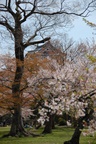 dsc_5342.jpg