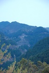 dsc_5402.jpg