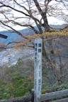 dsc_5403.jpg