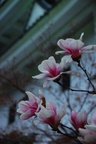 dsc_5405.jpg