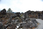 dsc_5523.jpg