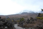 dsc_5526.jpg