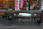dsc_5544.jpg