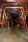 dsc_5617.jpg