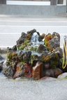 dsc_5645.jpg